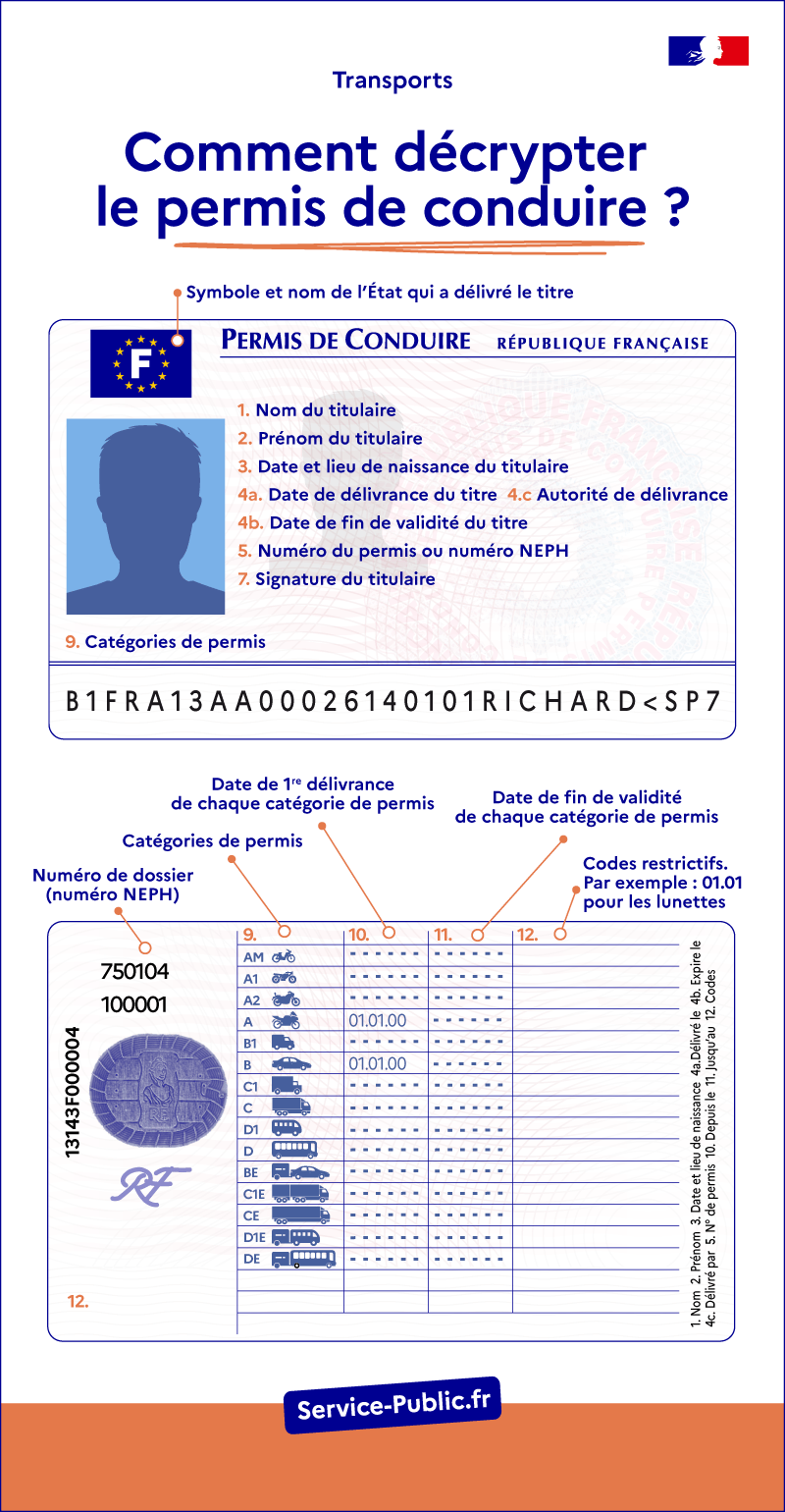Illustration X - Décrytper le permis de conduire - plus de détails dans le texte suivant l’infographie